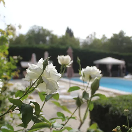 Apartment 1-bedroom With Pool & Free Parking, 300 M To The Pomorie